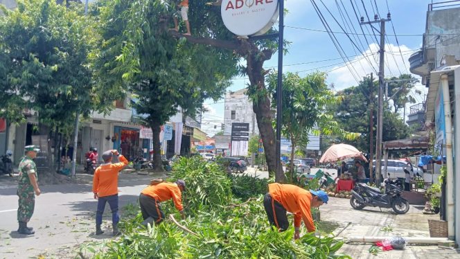 
					Babinsa Kratonan Bantu Jaga Kelancaran Arus Lalu Lintas Saat Pemangkasan Pohon
