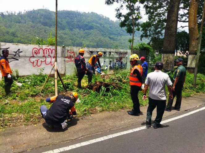 
					Pohon Tumbang di Batu, Babinsa Sigap Bertindak