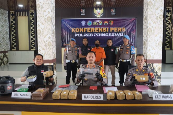 
					Polres Pringsewu Tangkap Pengedar 76 Kg Ganja dan Pemilik Senjata Api Ilegal