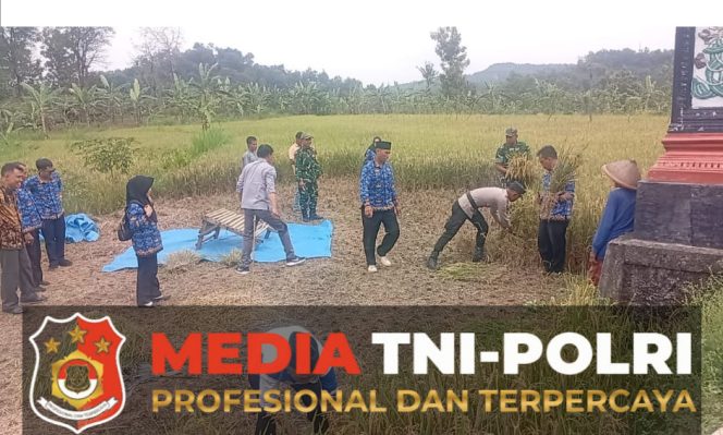 
					Anggota Koramil Wonosegoro Tunjukkan Dedikasinya Dukung Ketahanan Pangan