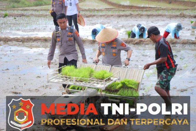 
					Kapolda Lampung Hadiri Gerak Tanam Raya Padi Serentak, Dukung Ketahanan Pangan Nasional