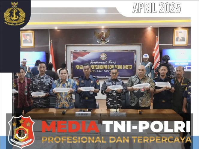 
 Rugikan Negara Sebesar Rp. 54 Milyar, Penyelundupan 360.000 Benih Lobster Berhasil Digagalkan TNI AL di Muara Betara Jambi