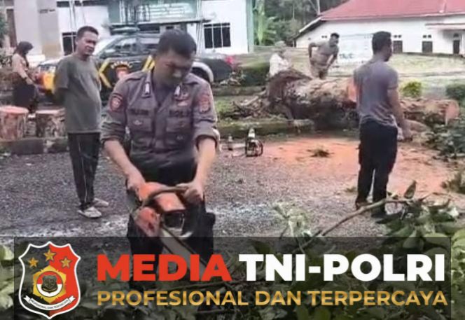 
 Polres Tanggamus Evakuasi Pohon Tumbang, Cegah Kemacetan di Jalur Dua Pemda