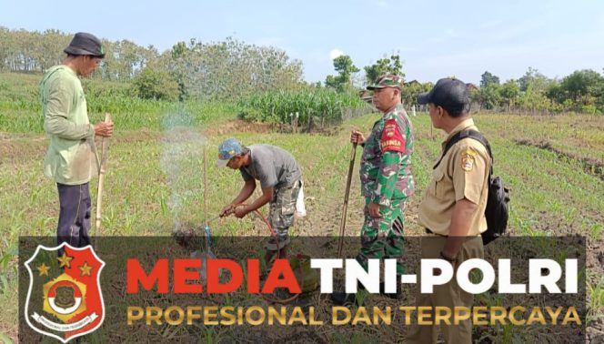 
					Babinsa Wonosegoro Bersinergi Basmi Hama Tikus Di Desa Lemah Ireng