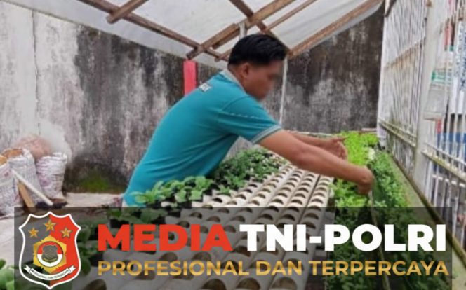 
 Pembinaan Kemandirian, Warga Binaan Lapas Sampit Kembangkan Berbagai Jenis Tanaman